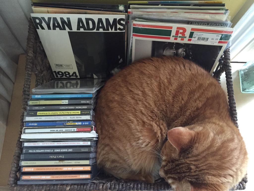 daniel_byrnes's tweet image. This is Gram's new favorite spot. @TheRyanAdams