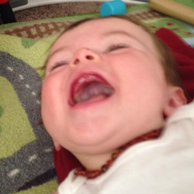 jennbizzle's tweet image. Finally got a picture. Would you look at those choppers?? #teeth #firstteeth #hewasbornwit… ift.tt/1K7BaY3
