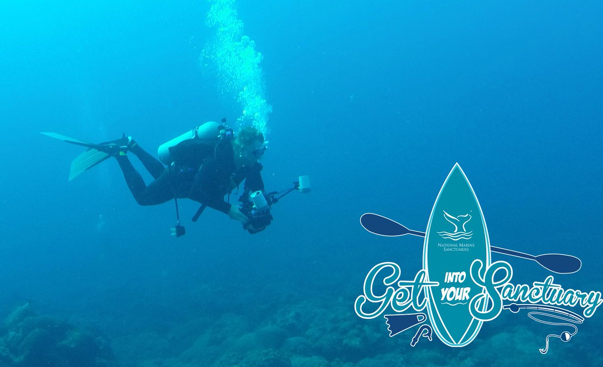 sanctuaries's tweet photo. MT @fgbnms: Mind your manners when you #visitsanctuaries! #TakeOnlyPictures #LeaveOnlyBubbles http://t.co/QO22RxjHVP http://t.co/GRUYj09EQH