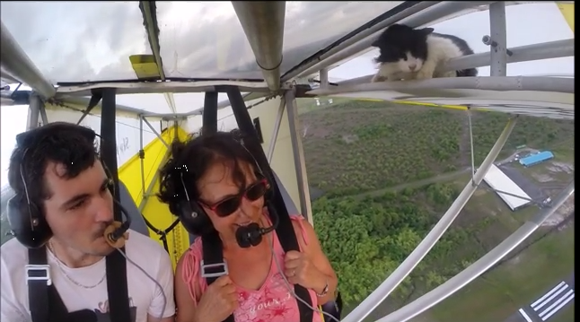 EconCybernetics's tweet photo. Remove cat before flight. https://t.co/a3hRRcSm32 http://t.co/X3Uh96LRWl