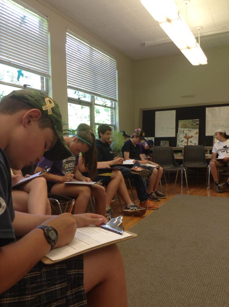 Vansittart Woods EEC tweet media