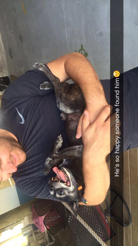 maschaef's tweet photo. Had to go save this old guy named buddy today and found his owner!! @indyrs2 http://t.co/Q2G54jQ5mL