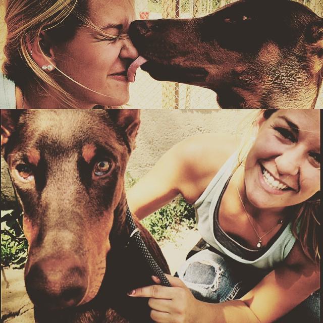 dogdayranch's tweet photo. BIRTHDAY HOWL-OUT to our buddy, Zeke! Happy FIRST Birthday! #dogdayranch #dogsofinstagram #instadog #dobermans #pup… http://t.co/h2TJfQczV6