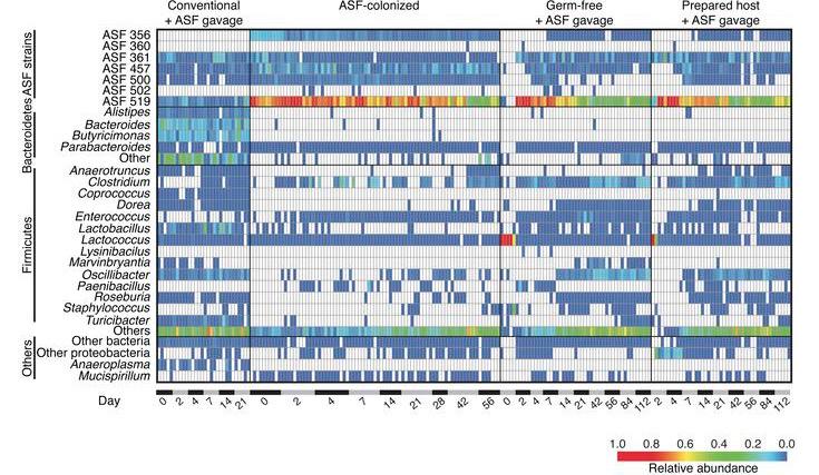 MicrobiomDigest's tweet image. Engineering the gut microbiota to treat hyperammonemia - Ting-Chin David Shen @jclinicalinvest
jci.org/articles/view/…