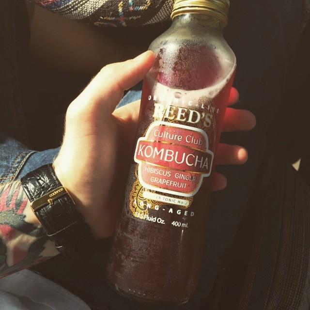 KombuchaGuruX's tweet image. ift.tt/1R5ZVCv Good look @thevapedouche shits bangin #hibiscus #ginger #grapefru… kombuchaguru.com