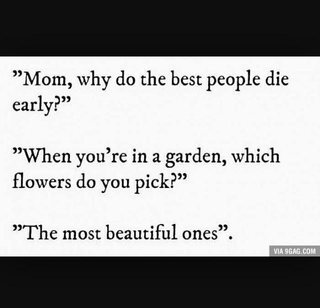 cierra_ramirez6's tweet photo. 👆🙏 #ripJwalker&milinda http://t.co/0hklXPzCMO