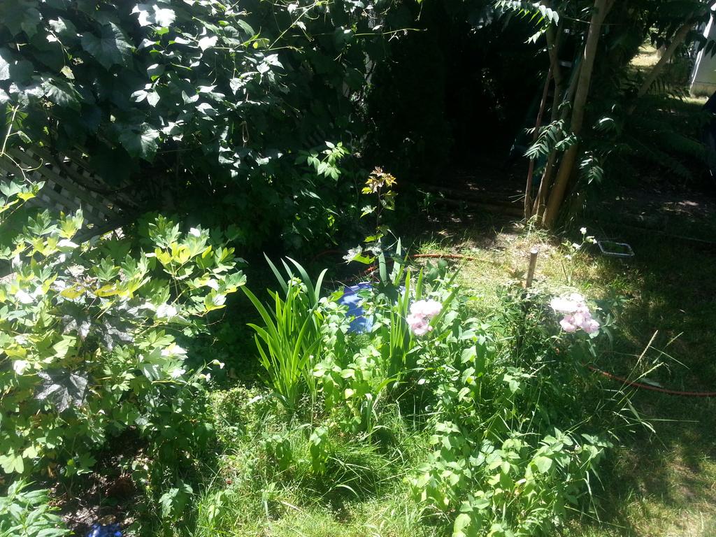 bee_here3's tweet photo. http://t.co/G5d5vnAstz