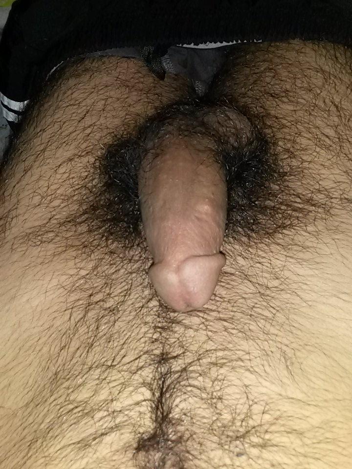 Anlık.    Sessiz olun  ORMANIN. KRALI YATIYOR