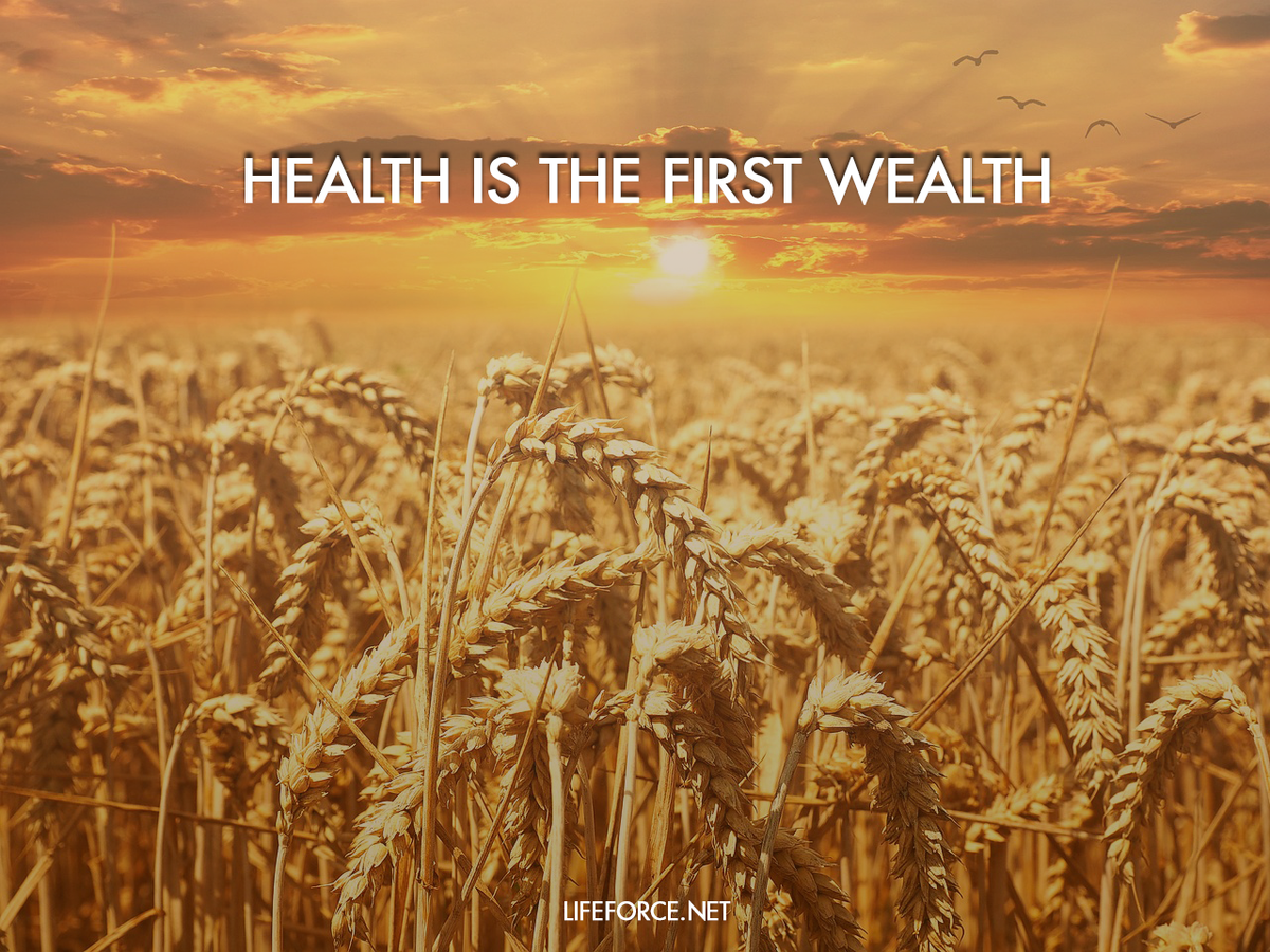 LifeForceCorp tweet picture