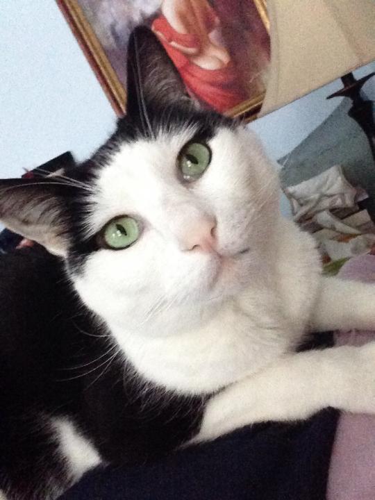 DoctahDoctah's tweet photo. How am I supposed to function when this handsome guy is distracting me? Can u see the #missmatch inspiration?? http://t.co/kSxW9EQxb0
