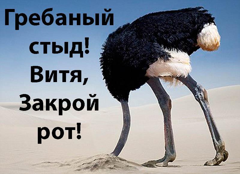 Янукович не отрицает своей ответственности за убийства на Майдане - Цензор.НЕТ 362