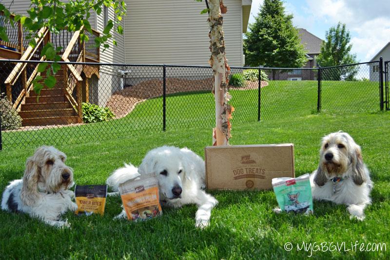 mygbgvlife's tweet photo. It's down to the final hours of our #MultiPetMania @MerrickPetCare Picnic Pack #giveaway! http://t.co/vcy7eq9IZG http://t.co/eJk5eofIPj