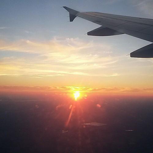 NaturalHigh's tweet image. Daydreaming the next adventure ☺️💭✈️ #shouldbeworking #woops