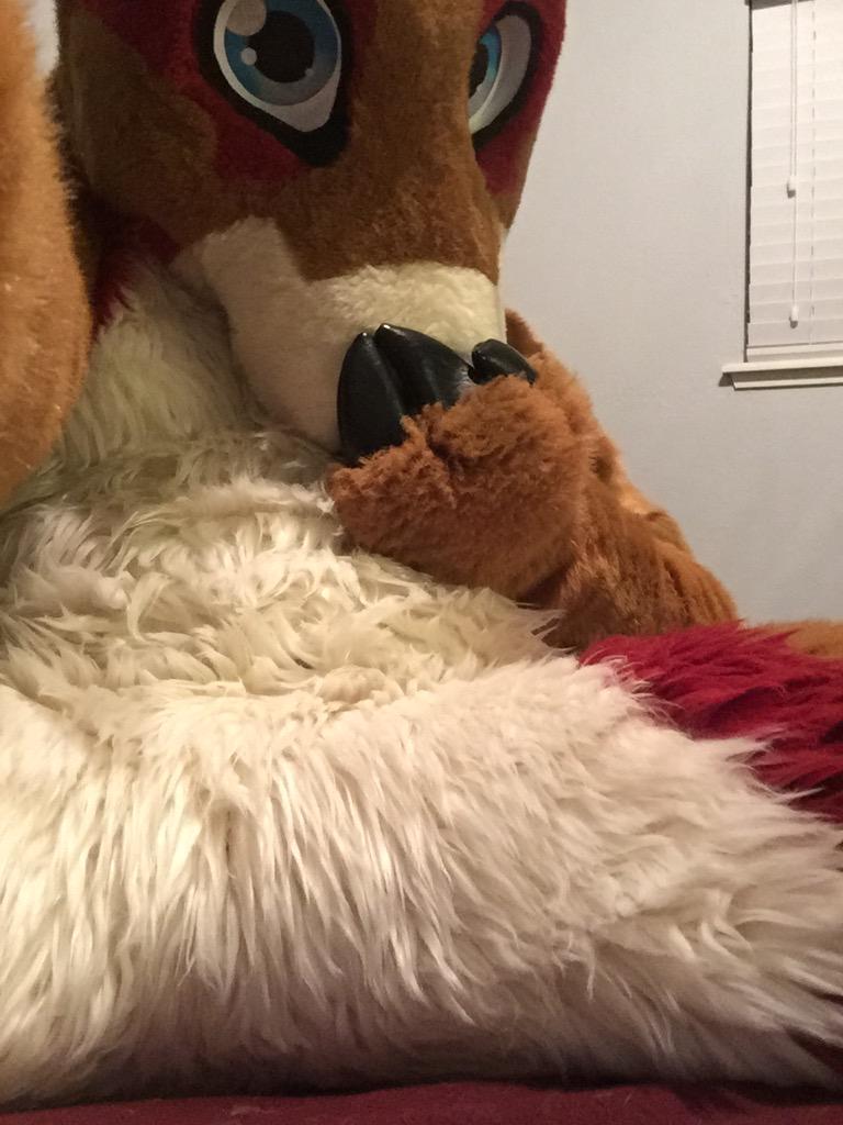 Fursuit Crotch on Twitter: 