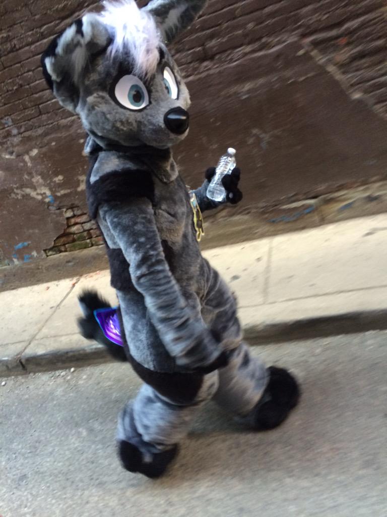 GrayFennec's tweet image. #suitsforhoot