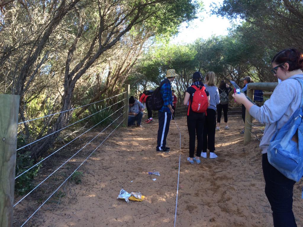 SusanCaldis's tweet photo. Perfect day for fieldwork on dunes for ecosystems at risk #geographyteacher #hscgeo @geogfieldwork http://t.co/D3cbZznlfj