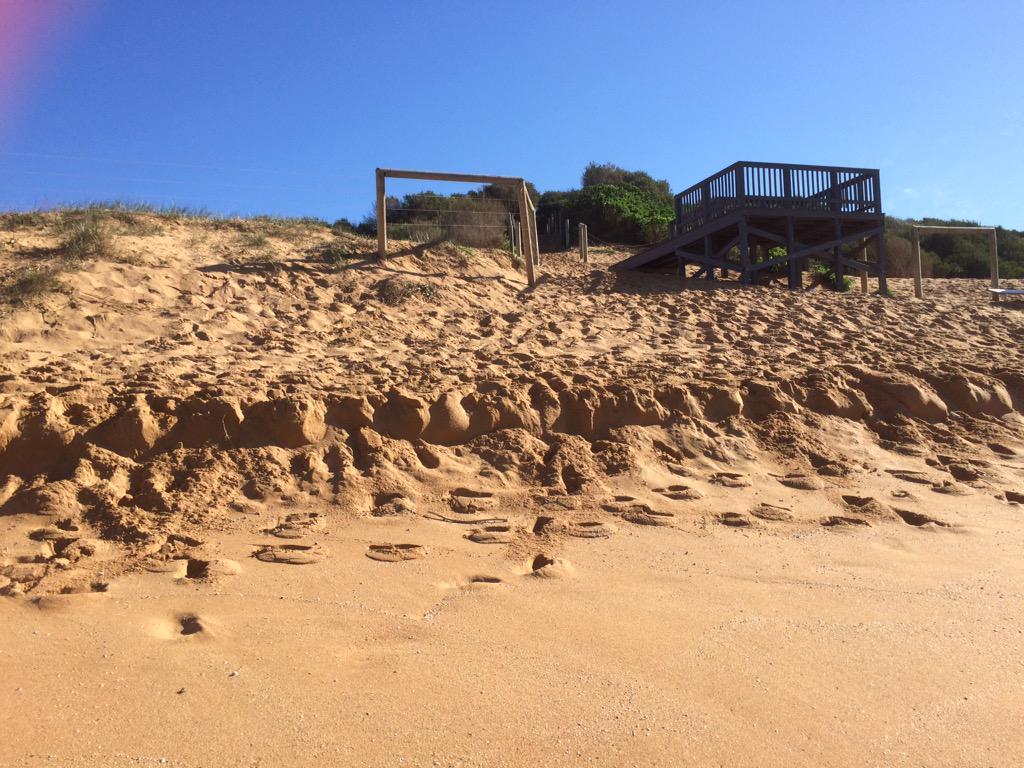 SusanCaldis's tweet photo. Perfect day for fieldwork on dunes for ecosystems at risk #geographyteacher #hscgeo @geogfieldwork http://t.co/D3cbZznlfj