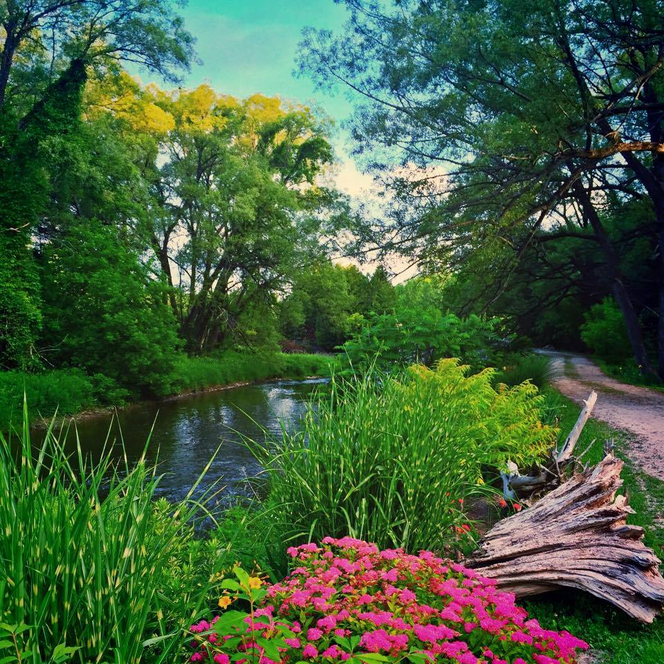 ArleneDickinson's tweet image. "In the garden I tend to drop my thoughts here and there. 
To the flowers I whisper the... facebook.com/permalink.php?…