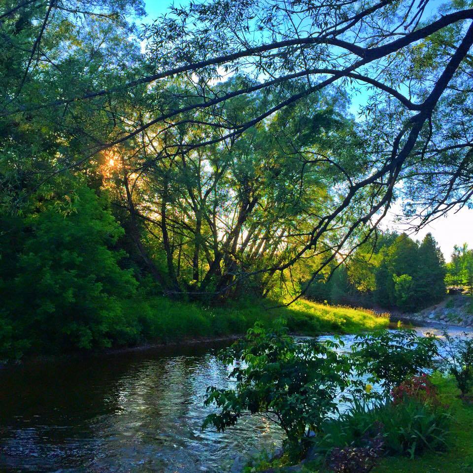 ArleneDickinson's tweet image. "In the garden I tend to drop my thoughts here and there. 
To the flowers I whisper the... facebook.com/permalink.php?…