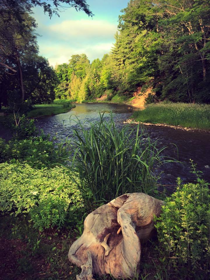 ArleneDickinson's tweet image. "In the garden I tend to drop my thoughts here and there. 
To the flowers I whisper the... facebook.com/permalink.php?…