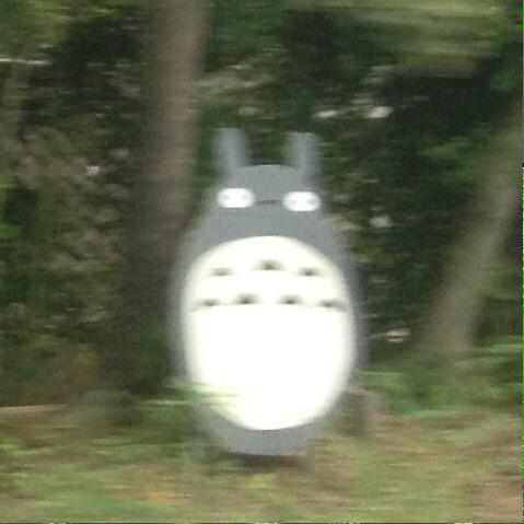 たわしおじさん奇跡は自ら起こす挑戦するかしないかそのちょっとの差が全ての未来を変える Twitterren トトロとったどぉ 西武池袋 線の所沢駅と秋津駅の間にいるマニア じゃなかった イルマニアのいる入間市も池袋線沿線だ おっと話をもどそう 大トトロ Http T Co