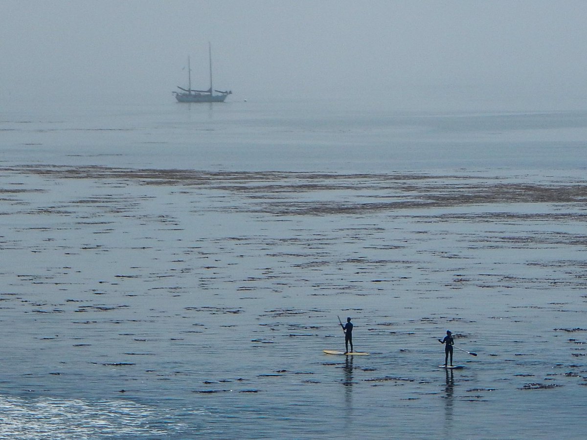 2SKPs's tweet photo. AVA Capitola Walk http://t.co/BDhkMAJKgg http://t.co/1wAv47EP95