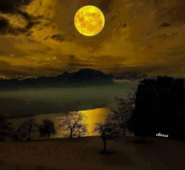 Nature Beautiful On Twitter The Most Beautiful Moon Clicks Photos By Dk Http T Co O0yjcvcyuk