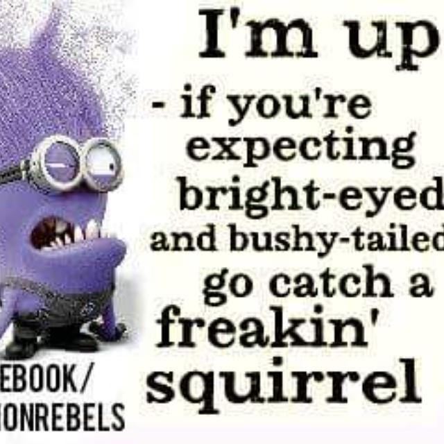 cazzargh's tweet image. Working today and tonight! Defoe got a case of the Tuesdaaazze! 😴💤☕ #barmaidproblems #officeproblems #workerproblems