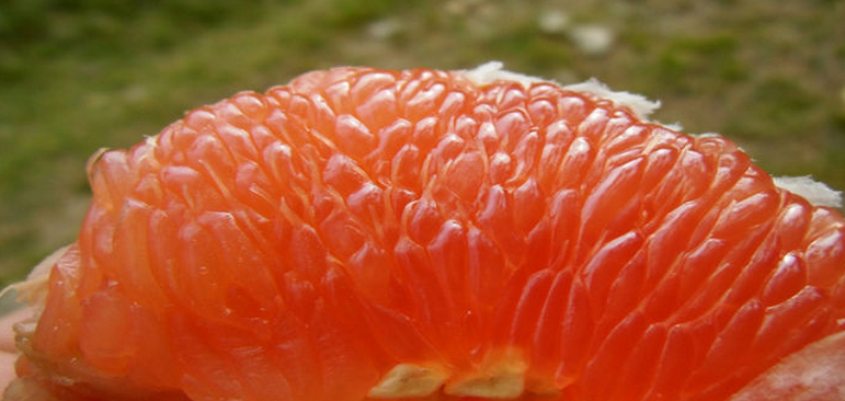 MisCromosomas's tweet photo. Simvastatina, medicamento che actúa disminuyendo la producción de colesterol. http://t.co/z84N5rkEaM http://t.co/UrE6eNrI1n
