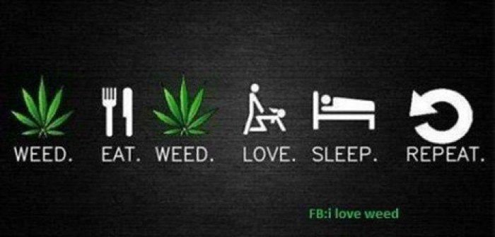 GrowLandiaOFI's tweet photo. LO Mejor XD  , por Fred para #GrowLandiaComunidad - Follow @HighPhotos420 - http://t.co/ZBsiPoWLVt http://t.co/ZKZ3lQgeJf