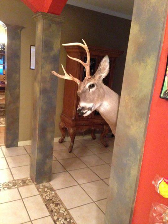 sspivey17's tweet photo. Cant wait to bow hunt. Have my leggs lookin like Michel Jackson doing the moon walk in a tree stand. http://t.co/7IRb0Blorm