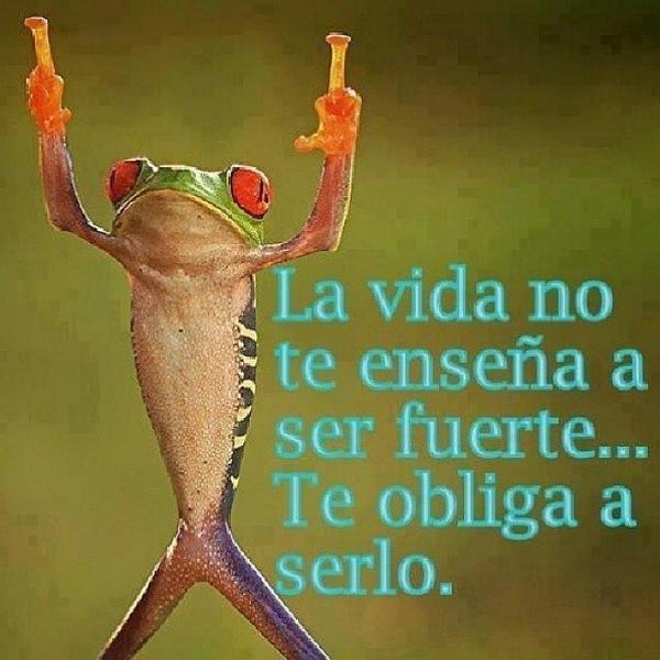 Anayr7's tweet photo. #Fortaleza ✨🎇🎆😜 http://t.co/aGqP5iSGeB