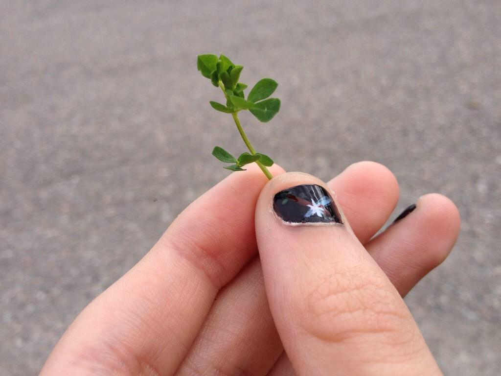 MerPrincessAnna's tweet image. 