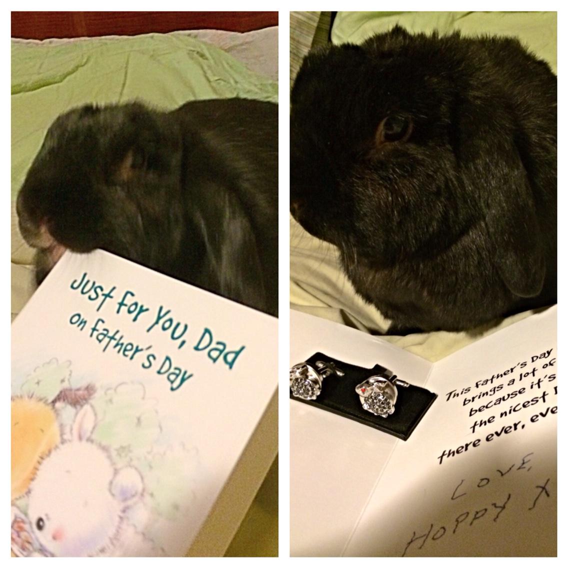 37 hours of travel all worth it to come home to Hoppy and his Father Day Surprise #Hoppylife #lovethisguysomuch