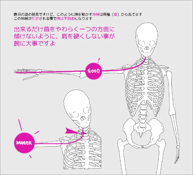 昨日の話の続きです、絵をなさる方で手が痛くて病院に行っても、手だけ見てもらって、骨と筋肉問題ありませんと手に張る物と薬もらって終わる事がありますけど、出来れば、首を見てもらったほうが良いと思いますです 