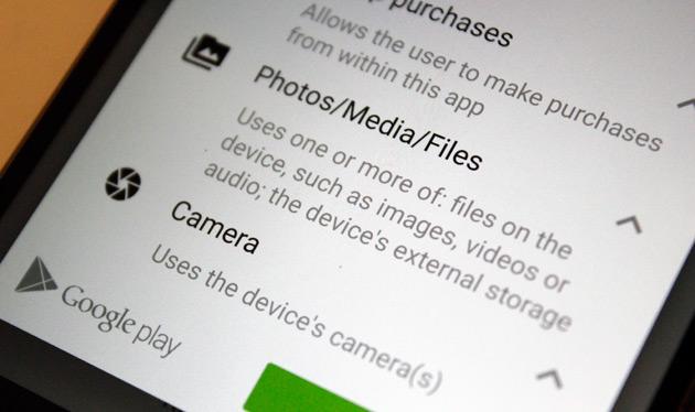 VegaBird tweet media