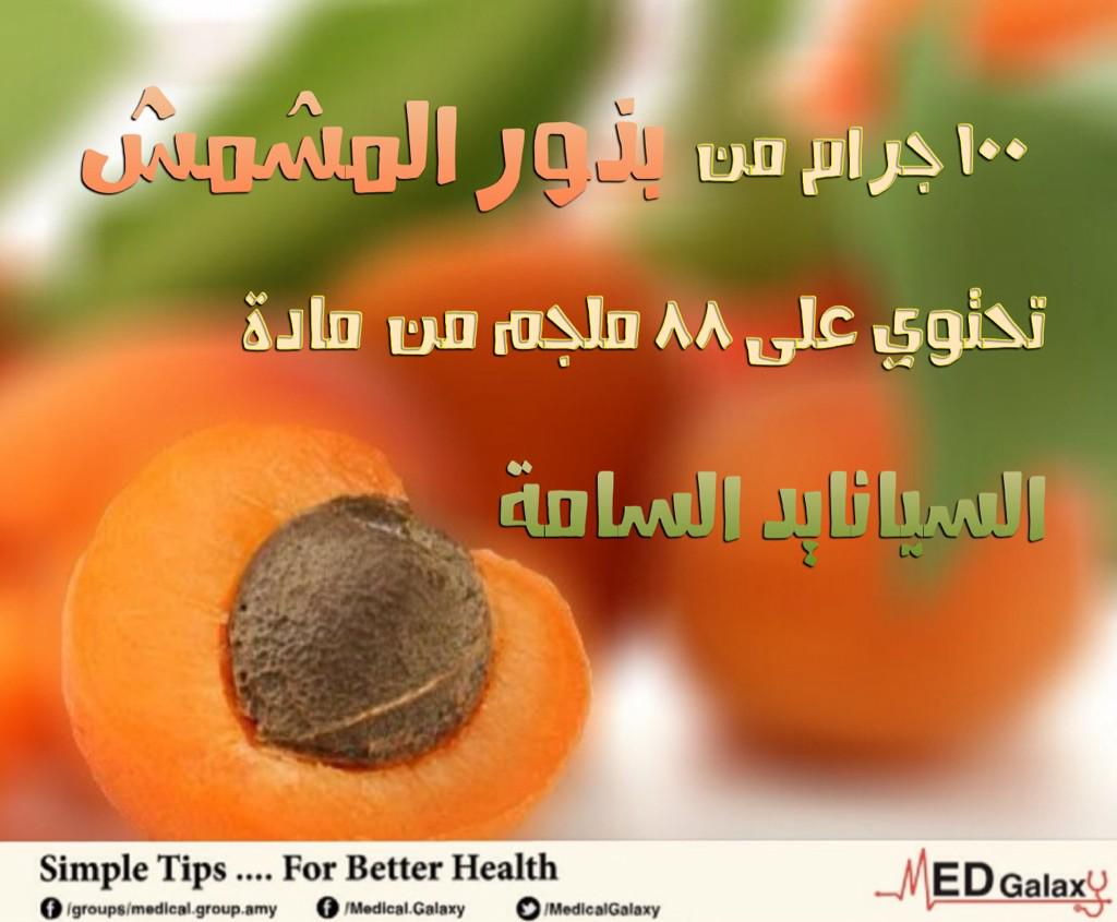 MedicalGalaxy's tweet photo. تحتوي بذور المشمش على مادة السيانيد السامة ،، ولكن بنسبة قليلة جداً ،، http://t.co/uTo8OQ7QKh