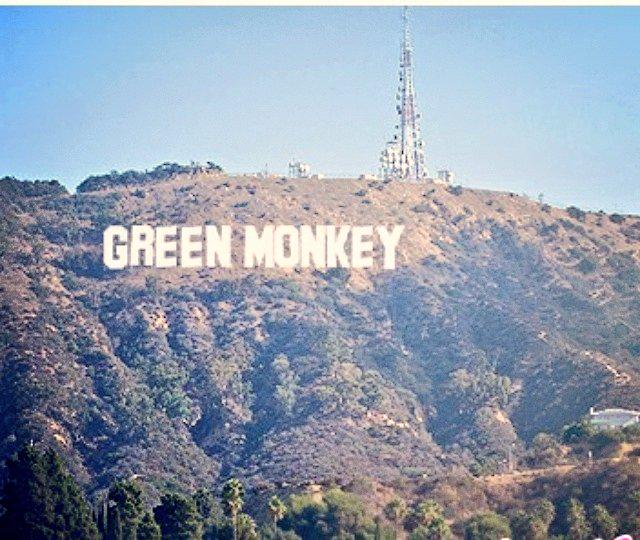 GreenMonkeyBand's tweet image. Livin' it large ya'll #Greenmonkey #InEffect @HollyWood @California #hiphop #rock #funk #music #swag #Irish #Belfast