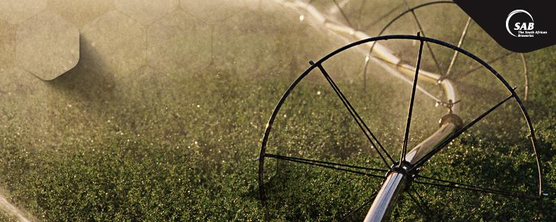 SABreweries's tweet photo. A recent water-saving world first for SAB &amp; SA barley farmers: http://t.co/4saXj9BM3Y #SustainabilityWeek #SABProsper http://t.co/KKHSYmLLVF