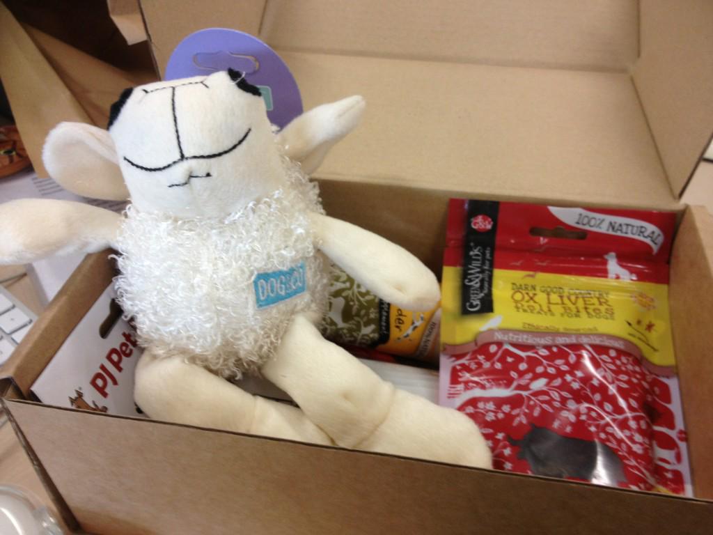 fgycarrie's tweet photo. @PetsPyjamas @PurePRInteriors thank you so much for #BringYourDogToWorkDay gifts for Sheriff and Jess! http://t.co/M9Yyjbs0sQ