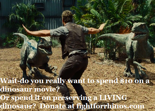 fightforrhinos's tweet photo. #JurassicWorld made a BILLION worldwide, imagine just half of ticket sales toward #rhinos! #donate #fightforrhinos http://t.co/GXusLtcIqr