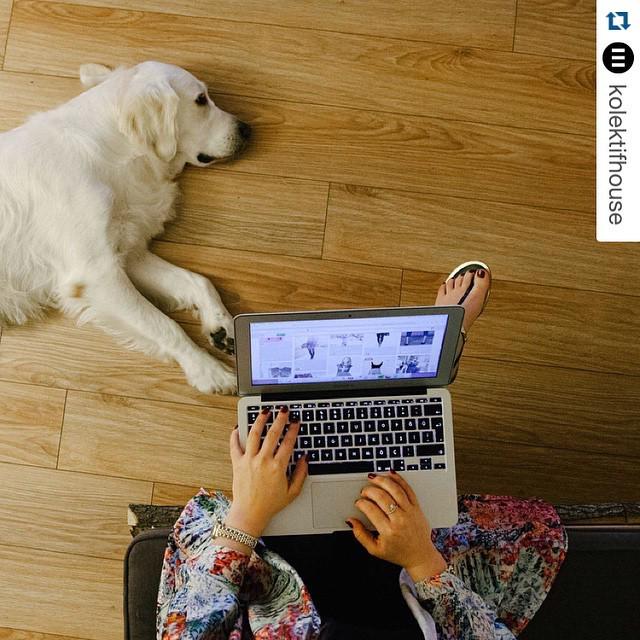 hasimhb's tweet image. #Workarea #primeshots #💻 #☕️ #🐾 #Repost @kolektifhouse with @repostapp.
・・・
freelance çalışmanın en fiyakalı tarafı…