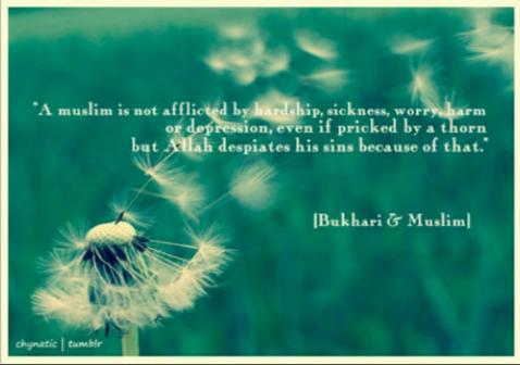 najiyatul fadhia (@faia_a8) on Twitter photo 