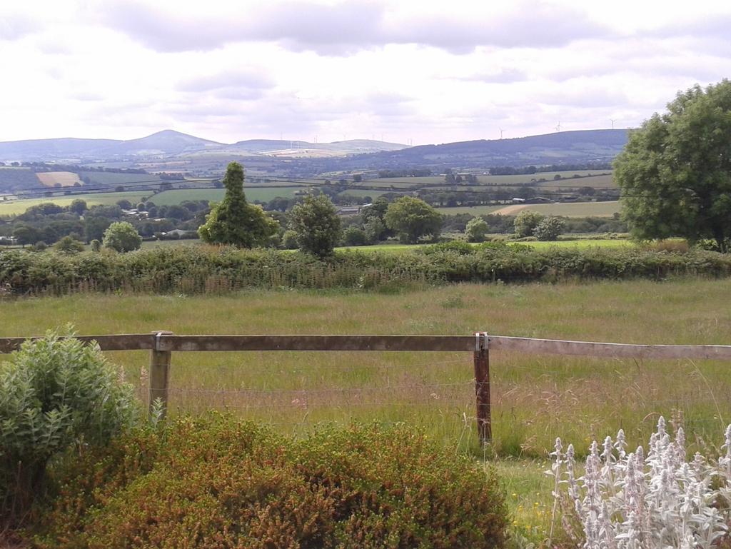 Meghan Tyner tweet media