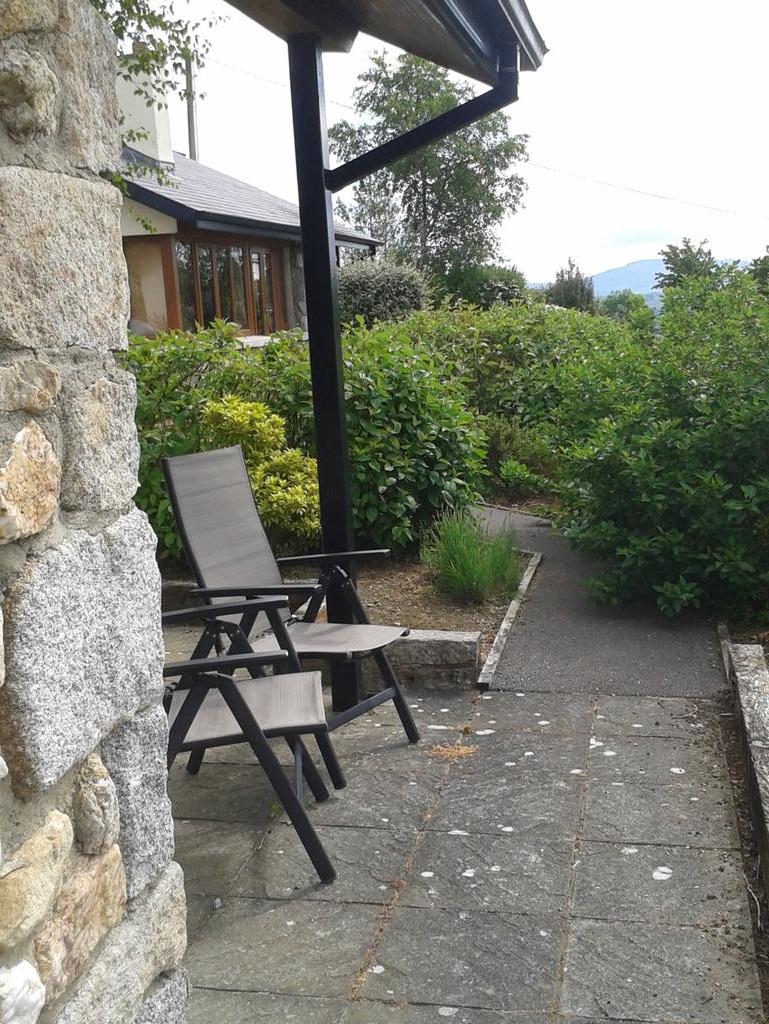 Meghan Tyner tweet media