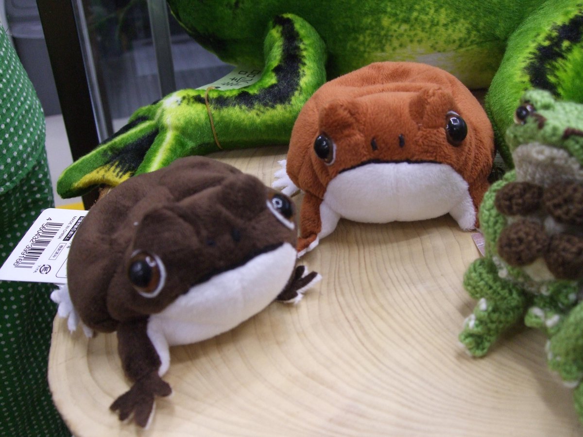 iZoo カエル ぬいぐるみ iZooオリジナル アメフクラガエルぬいぐるみ