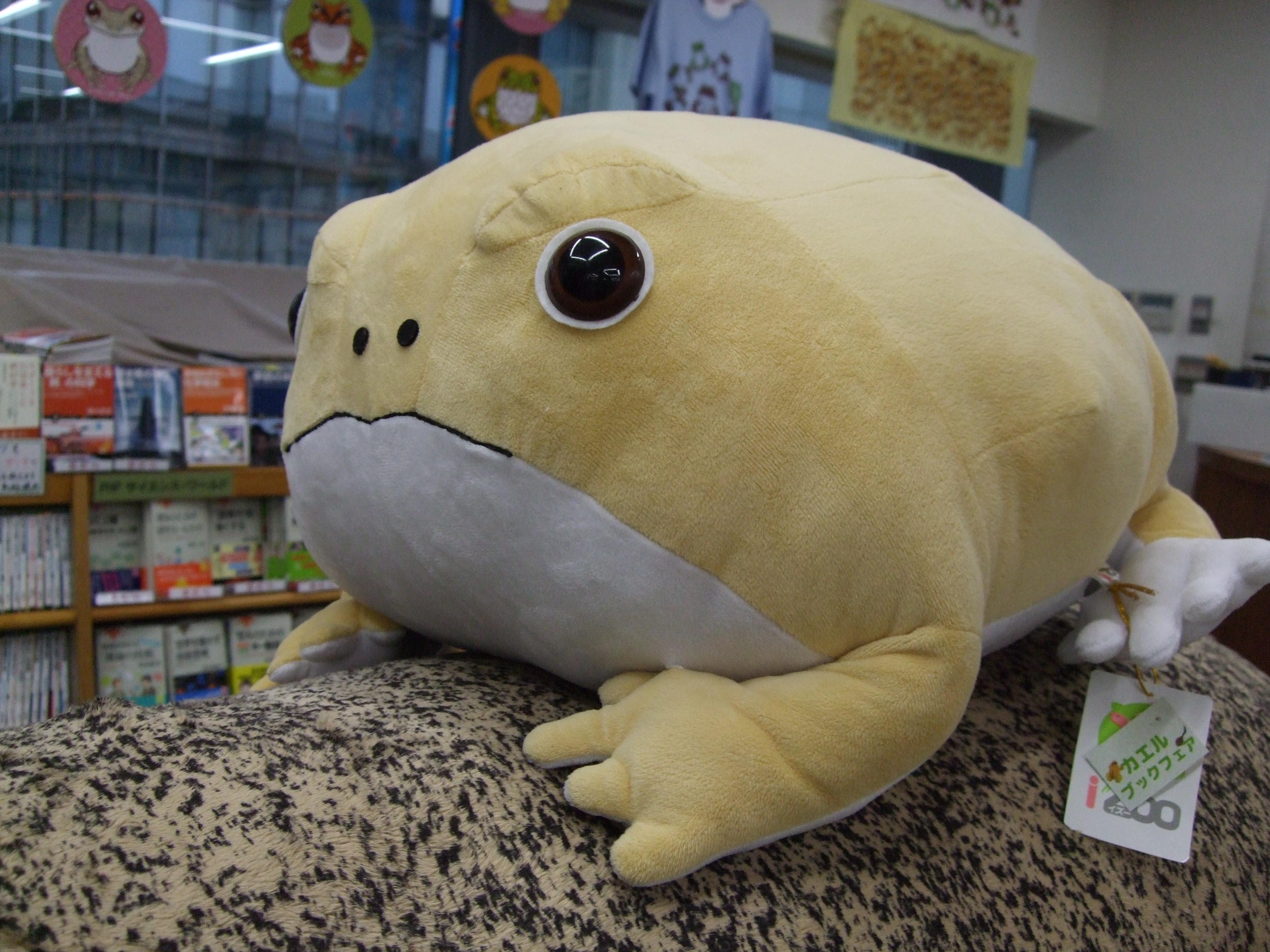 iZoo (体感型動物園イズー) on X: 