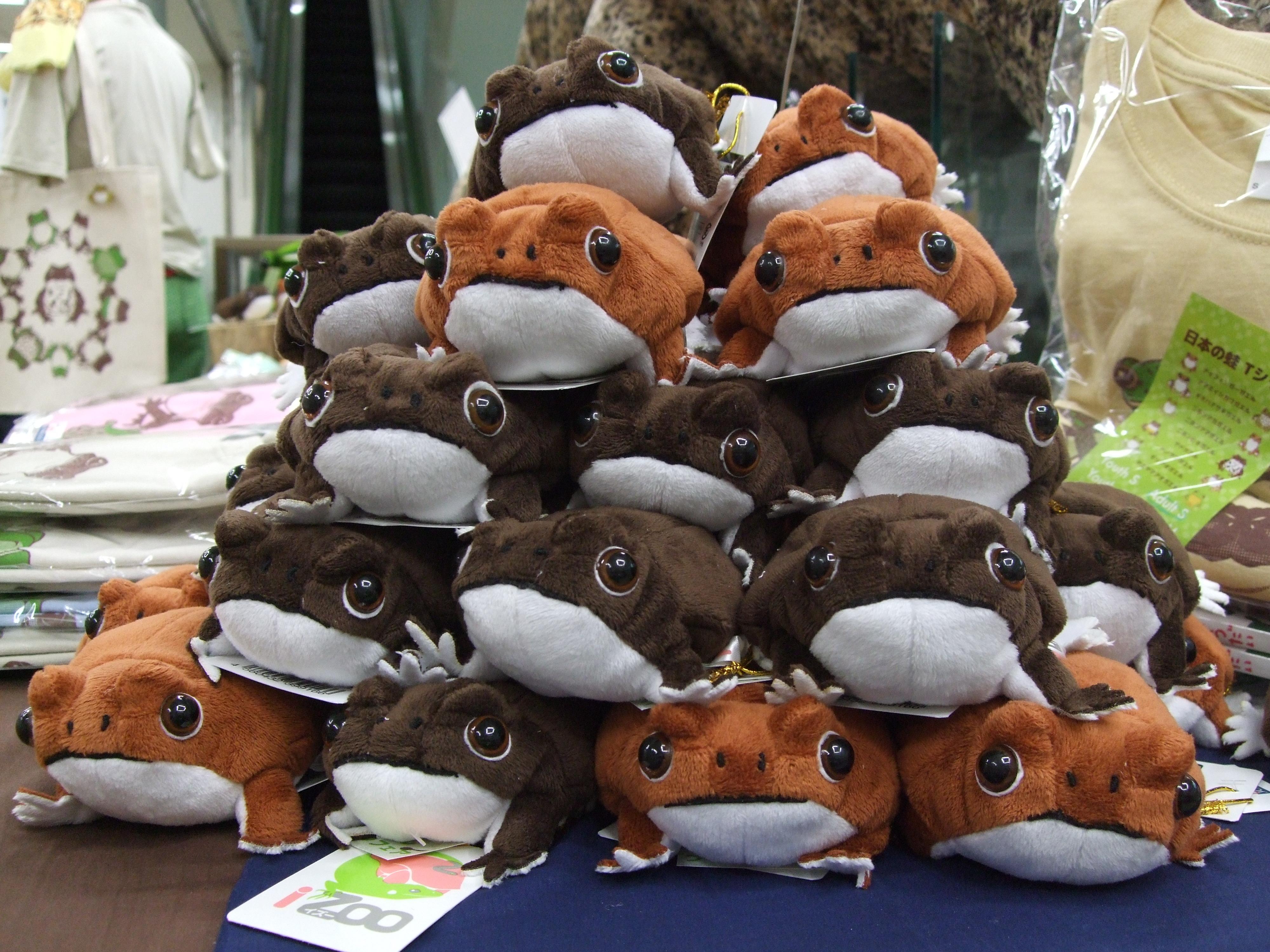 iZoo カエル ぬいぐるみ iZooオリジナル アメフクラガエルぬいぐるみ