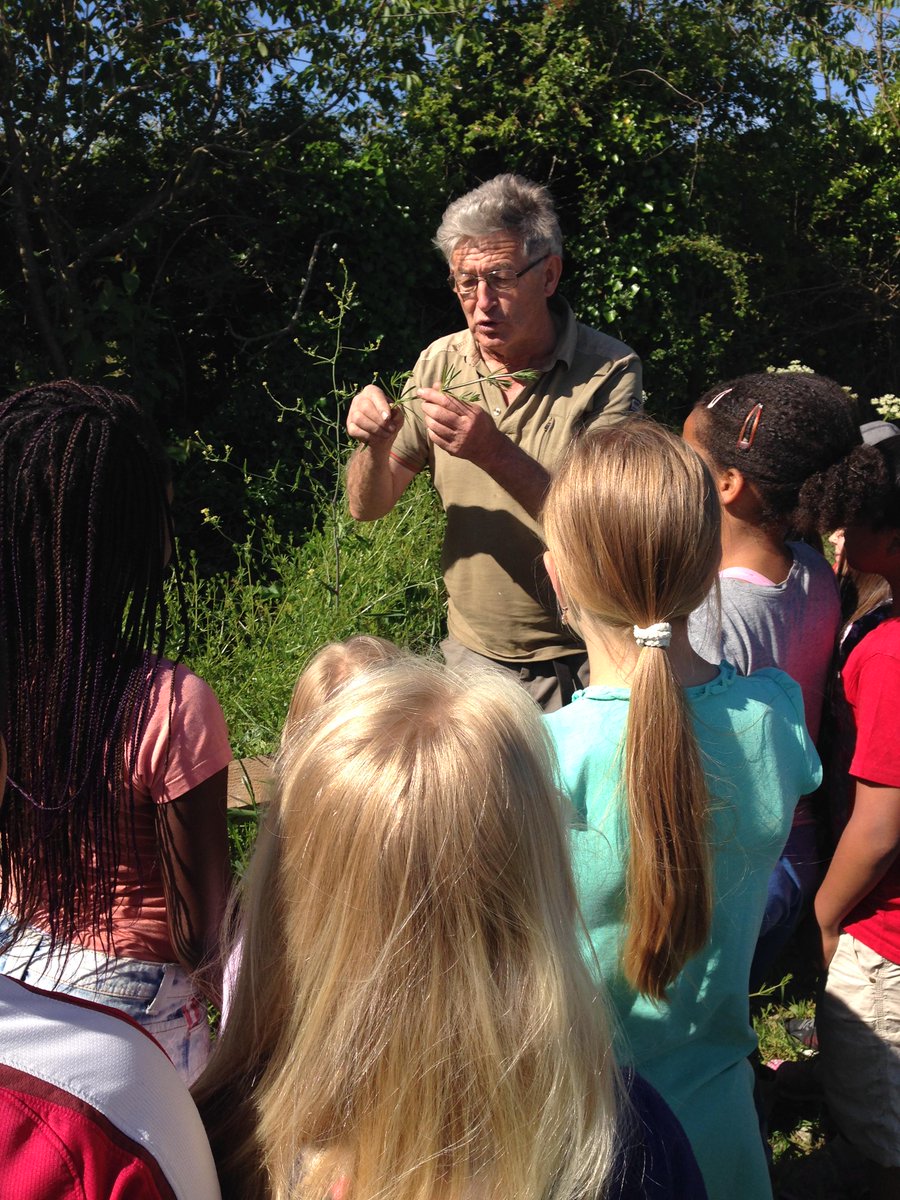 Steves3rdclass's tweet photo. spider's eggs, buzzards and bugs. Beautiful wildlife walk this morning. John from @Fingalcoco stopped to talk to us! http://t.co/t55tYEAdNk