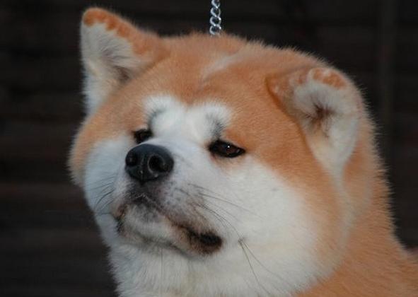 TheSaltFlats's tweet photo. It's okay, we're not upset @iamgoldiefawn http://t.co/JSUTmDYIyJ